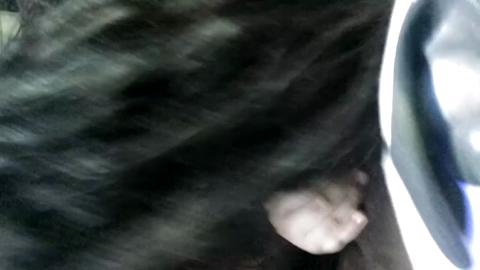 10191