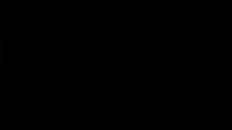 24733